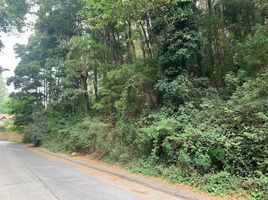  Land for sale in Concepción, Biobío, Concepcion, Concepción