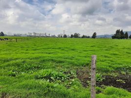 2 Habitación Casa en venta en Colombia, Tenjo, Cundinamarca, Colombia