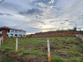  Land for sale in Piedecuesta, Santander, Piedecuesta