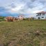  Land for sale in Piedecuesta, Santander, Piedecuesta