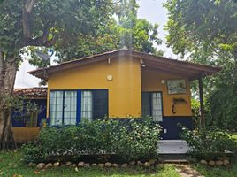 12 Schlafzimmer Haus zu verkaufen in Agua De Dios, Cundinamarca, Agua De Dios