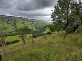 6 Habitación Villa en venta en Suesca, Cundinamarca, Suesca