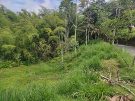  Terreno (Parcela) en venta en Pereira, Risaralda, Pereira