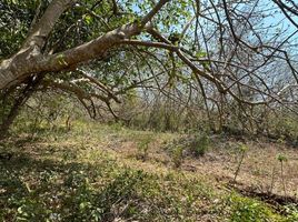  Land for sale in Tubara, Atlantico, Tubara