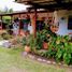 2 Bedroom House for sale in Colombia, Dagua, Valle Del Cauca, Colombia