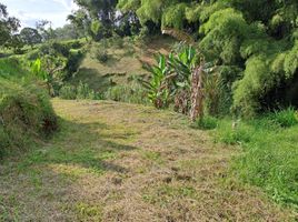  Terreno (Parcela) en venta en Pereira, Risaralda, Pereira