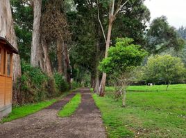  Terreno (Parcela) en venta en Sopo, Cundinamarca, Sopo