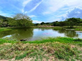  Terreno (Parcela) en venta en Anapoima, Cundinamarca, Anapoima