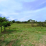  Land for sale in Anapoima, Cundinamarca, Anapoima