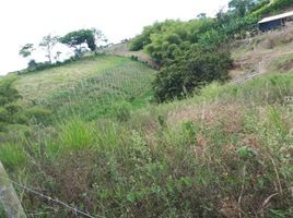  Terreno (Parcela) en venta en Ulloa, Valle Del Cauca, Ulloa