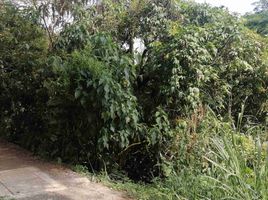  Land for sale in Pereira, Risaralda, Pereira