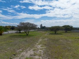  Terrain for sale in Tumbaco, Quito, Tumbaco