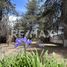  Land for sale in Tlahuapan, Puebla, Tlahuapan