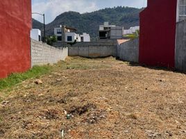  Terreno (Parcela) en venta en San Cristobal De Las Casas, Chiapas, San Cristobal De Las Casas