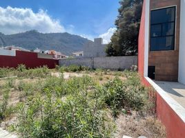  Land for sale in San Cristobal De Las Casas, Chiapas, San Cristobal De Las Casas, Chiapas