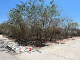  Grundstück zu verkaufen in Yaxkukul, Yucatan, Yaxkukul