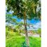  Land for sale in Barichara, Santander, Barichara