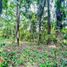  Land for sale in Barichara, Santander, Barichara