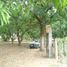  Land for sale in Tapachula, Chiapas, Tapachula