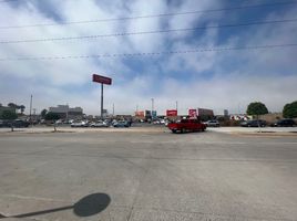  Land for rent in Tijuana, Baja California, Tijuana, Baja California