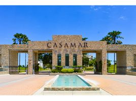 2 Bedroom Apartment for sale in El Palmar Beach, San Carlos, San Carlos