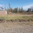  Land for sale in Neuquen, Confluencia, Neuquen