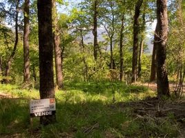  Land for sale in Neuquen, Lacar, Neuquen