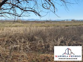  Terrain for sale in Mendoza, San Rafael, Mendoza