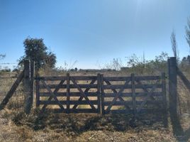  Terrain for sale in Mendoza, San Rafael, Mendoza