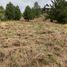  Land for sale in Neuquen, Lacar, Neuquen