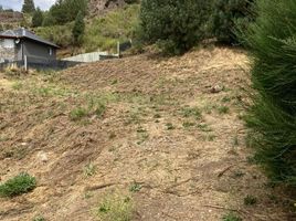  Terreno (Parcela) en venta en Neuquen, Lacar, Neuquen