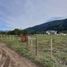  Land for sale in Huiliches, Neuquen, Huiliches