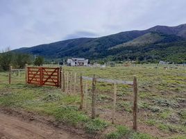  Land for sale in Huiliches, Neuquen, Huiliches