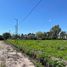  Land for sale in La Plata, Buenos Aires, La Plata