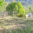  Land for sale in Neuquen, Lacar, Neuquen