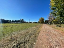  Land for sale in La Plata, Buenos Aires, La Plata