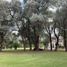  Land for sale in Lujan, Buenos Aires, Lujan