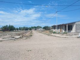  Terrain for sale in Mendoza, San Rafael, Mendoza