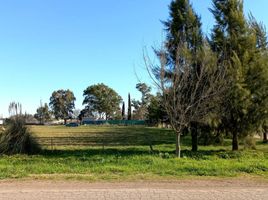  Land for sale in La Plata, Buenos Aires, La Plata