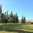  Land for sale in La Plata, Buenos Aires, La Plata