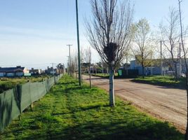  Land for sale in Bahia Blanca, Buenos Aires, Bahia Blanca