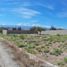  Land for sale in Capital, Catamarca, Capital