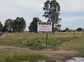  Land for sale in Bahia Blanca, Buenos Aires, Bahia Blanca