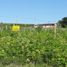  Land for sale in Tandil, Buenos Aires, Tandil