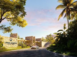  Grundstück zu verkaufen in Cozumel, Quintana Roo, Cozumel