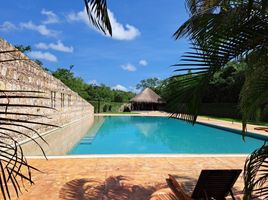 Grundstück zu verkaufen in Conkal, Yucatan, Conkal
