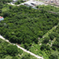  Land for sale in Merida, Yucatan, Merida, Yucatan