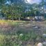  Land for sale in Merida, Yucatan, Merida, Yucatan