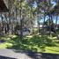 3 Habitación Casa en alquiler en Pinamar, Buenos Aires, Pinamar