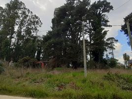  Land for sale in General Pueyrredon, Buenos Aires, General Pueyrredon